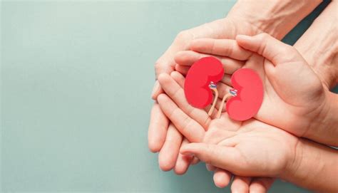 Infographic met symptomen van nierproblemen bij kinderen