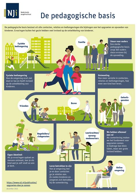 Infographic met de fasering van de hbo pedagogiek opleiding