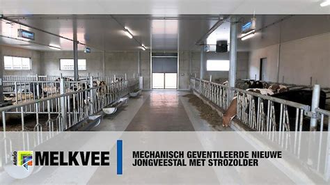 Uitzicht vanuit de groepsruimte van Boerkes & Co op de jongveestal