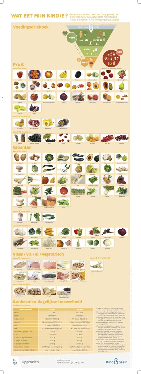 Illustratie van een baby die gevarieerde groenten en fruit eet, met een focus op natuurlijke kleuren en texturen.