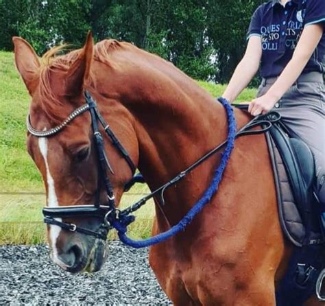 Een kind dat op een westernpaard rijdt, met een losse teugel.