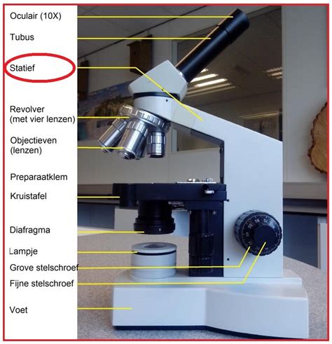 Illustratie van een laboratoriummedewerker die een sperma-analyse uitvoert onder een microscoop.