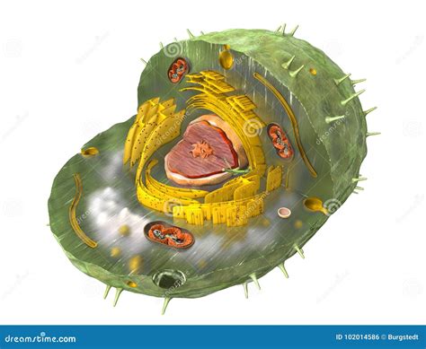 Illustratie van de interne structuur van een hoogwaardige aandrijfketting met afdichtingsringen