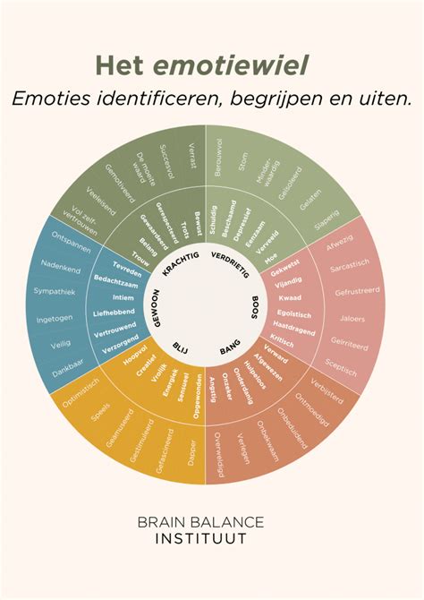 Infographic met stappenplan: rustig blijven, basisbehoeften checken, emoties benoemen, keuzes bieden, afleiden, routines, troost en regulatie.