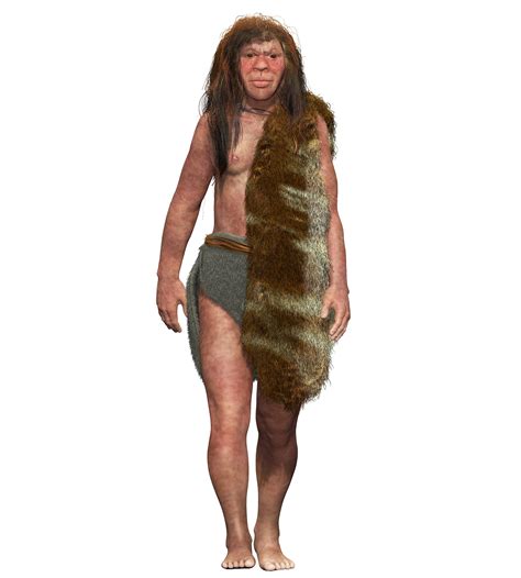 Artistieke reconstructie van een Denisovamens.