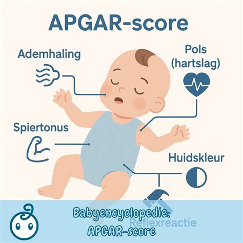 Infographic met de Apgar-score parameters en hun betekenis