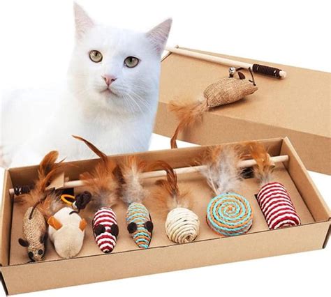 Infographic met de voordelen van interactief kattenspeelgoed