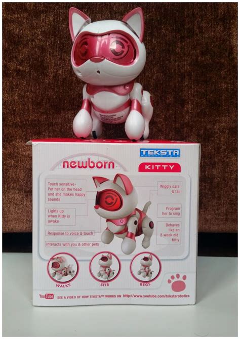 Foto van de Teksta Newborn Kitty in verschillende posities