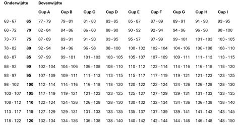 Schema met de gemiddelde penislengtes per leeftijdscategorie
