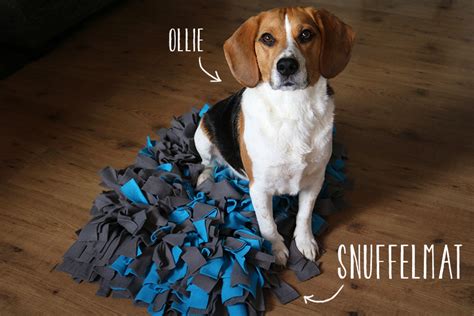 een konijn dat snuffelt aan een snuffelmat