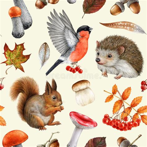 Illustratie van verschillende Holztiger bosdieren in een natuurlijke omgeving