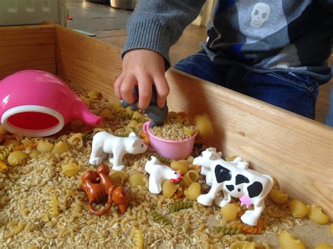 Kinderen spelen met houten dieren in een bak met mais