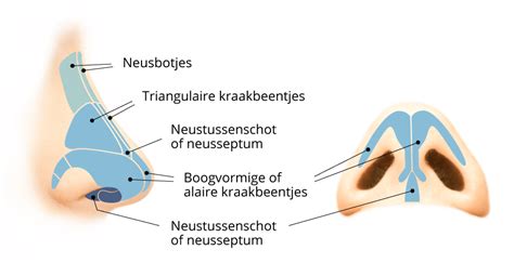 baby die door de neus ademt