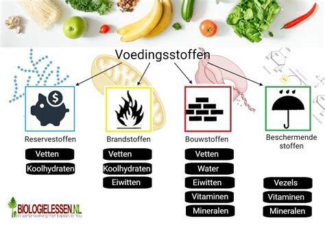 Illustratie van het proces van borstvoeding, met nadruk op colostrum en de voedingsstoffen.