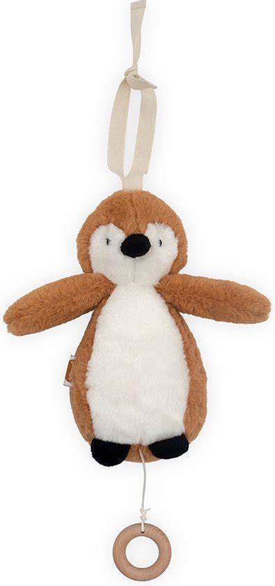 Een overzicht van verschillende Jollein muziekhangers, waaronder een pinguïn, ster en maan.