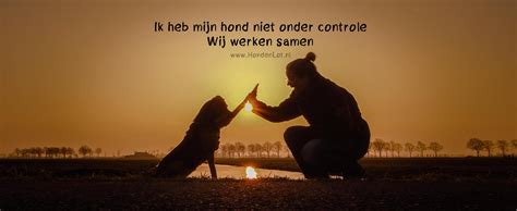 Een hond en eigenaar die samen een touw trekspel spelen.