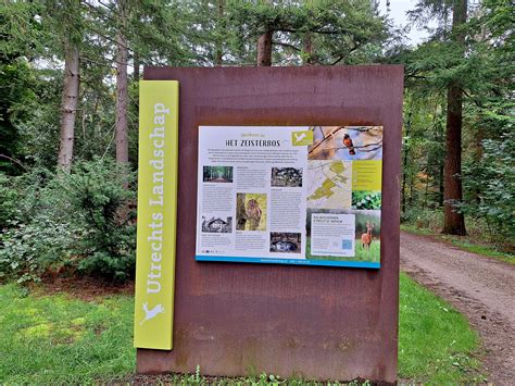 Schema van de verschillende gezondheidsonderzoeken voor kinderen op schoolleeftijd