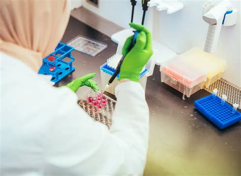 Illustratie van een laboratoriumopstelling voor celkweek en differentiatiestudies met iPSC's.