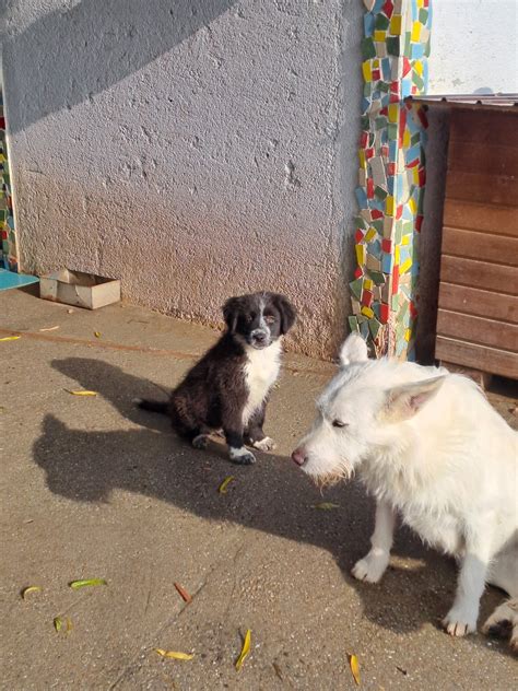 Illustratie van een peuter die speels grenzen verkent, met een ouder die geduldig observeert.