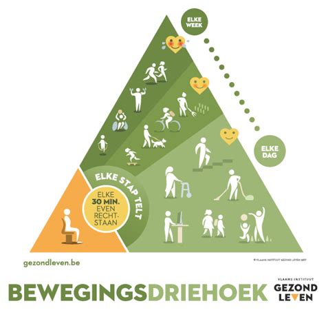 Schematische weergave van de bewegingsdriehoek met nadruk op lichte, matige en intensieve beweging.
