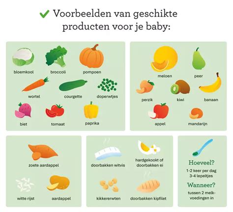 overzicht van verschillende babyvoeding ingrediënten