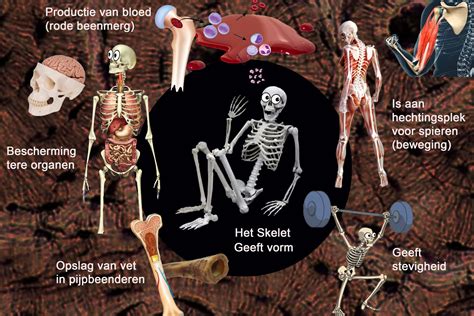 Close-up van de functies van de Deluxe Bulldozer, zoals de cementmolen en de klauw