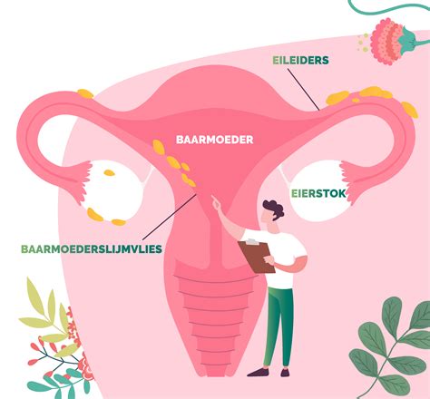 Illustratie van een baarmoeder met eventuele afwijkingen