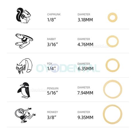 Vergelijking van verschillende soorten flesspenen (latex, siliconen, maten)