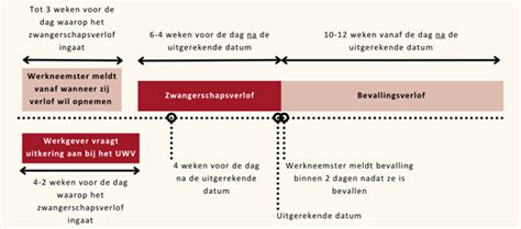 Visuele weergave van de tijdslijn van zwangerschapsverlof en bevallingsverlof