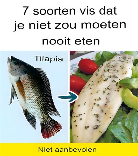 Infographic over de soorten vis die vermeden moeten worden tijdens borstvoeding