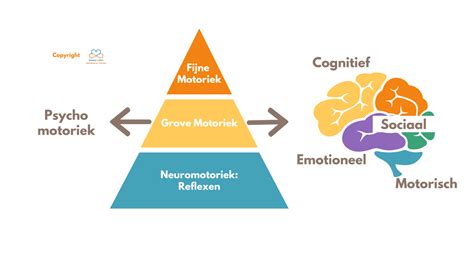 Infographic die de verschillende ontwikkelingsgebieden (motorisch, intellectueel, sociaal) toont die door spelen worden gestimuleerd.