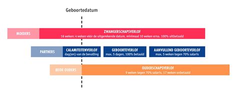 Infographic die de stappen van de aanvraagprocedure voor ouderschapsverlof toont, met pijlen en duidelijke iconen.