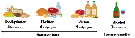 Grafiek die de verdeling van macronutriënten (koolhydraten, vetten, eiwitten) in hagelslag weergeeft