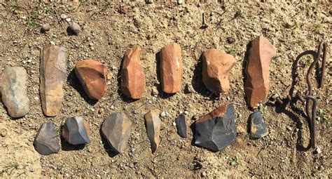 Voorbeeld van een dierplastiek uit de Steentijd, met realistische weergave van een dier.