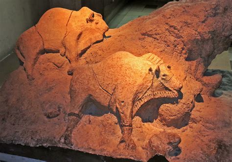 Detail van een grotkunstsculptuur, zoals de bizon en bizonkoe uit Tuc d’Audoubert.