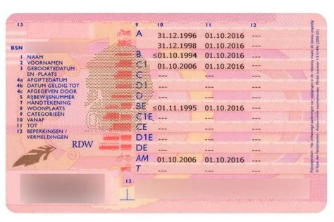 Overzicht van verschillende elektrische kinderauto's, waaronder politie-uitvoeringen, met bijbehorende accessoires zoals kentekenstickers en rijbewijzen.