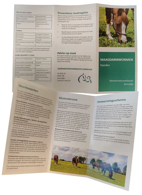 Informatiefolder over RVA-uitkeringen bij loopbaanonderbreking