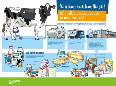 Infographic over ingrediënten in babyproducten