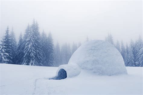 Illustratie van een traditionele Inuit-iglo, met sneeuwblokken opgestapeld in een spiraalvorm.