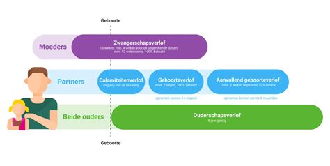 Illustratie die de verschillende termen voor partnerverlof weergeeft: geboorteverlof, kraamverlof, partnerverlof, vaderschapsverlof.