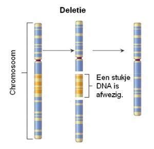 Illustratie van een paternale deletie op chromosoom 15
