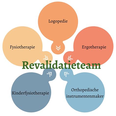 Overzicht van de verschillende disciplines binnen een multidisciplinair revalidatieteam