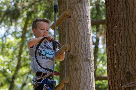Kinderen die klimmen in een klimbos met uitzicht op de zee