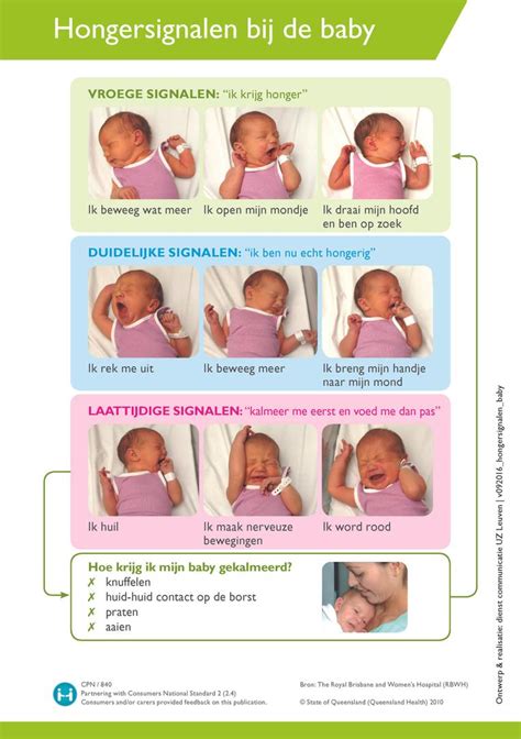 Infographic die de verschillen tussen hongersignalen en gewoonte-signalen bij baby's visualiseert.