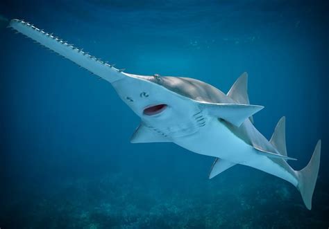 Een afbeelding van een zaagvis die de natuurlijke parthenogenese illustreert.