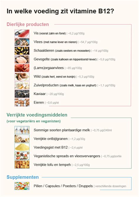 Infographic die de natuurlijke bronnen van ijzer en vitamine B12 in een gevarieerd dieet toont.