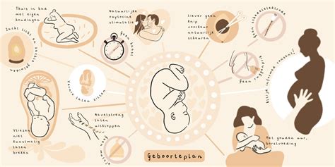 infographic met stappen voor het opstellen van een geboorteplan