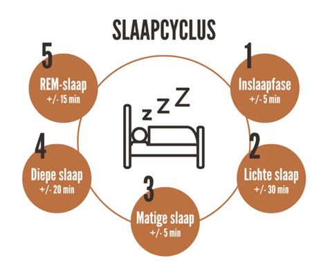 Infographic die de slaapcyclus toont, met nadruk op de REM-slaapfase en de link met dromen.