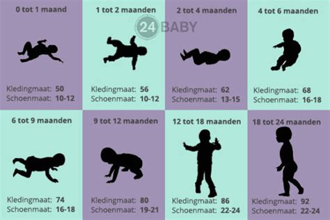 Overzicht van de groei van een baby van 0 tot 12 maanden met gewichtsgrafieken