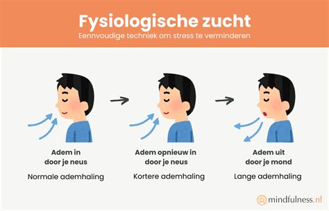 Infographic die de stappen voor het herstel van een diastase illustreert: ademhaling, houding, aanspannen, versterken en opbouw.